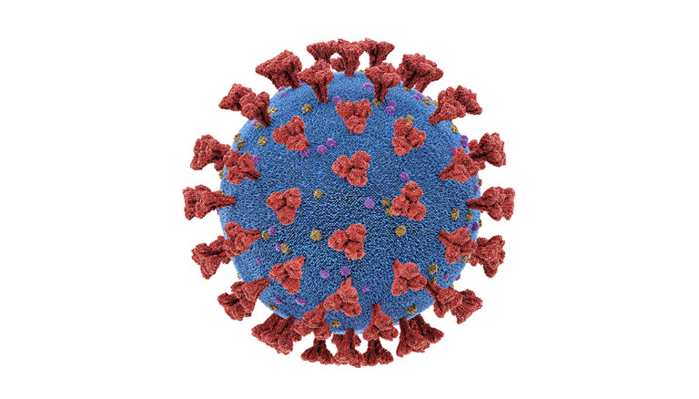 Corona virus