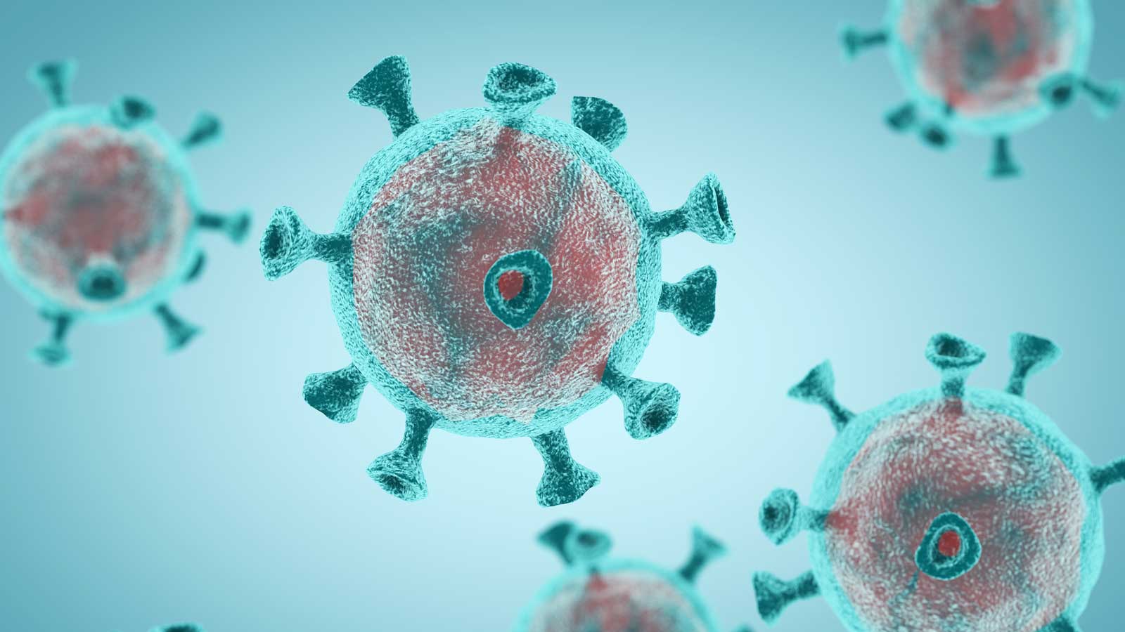 Corona virus